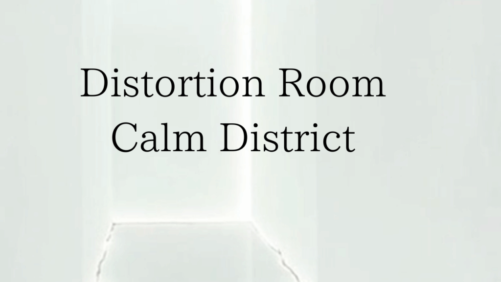 Distortion Room の3部作を一挙公開。内側の静電気、認知の砂嵐、現実の歪み──それぞれの核を鋭く結び、都市の静けさと情報過多の時代における思考の扱い方を提示する総まとめ。