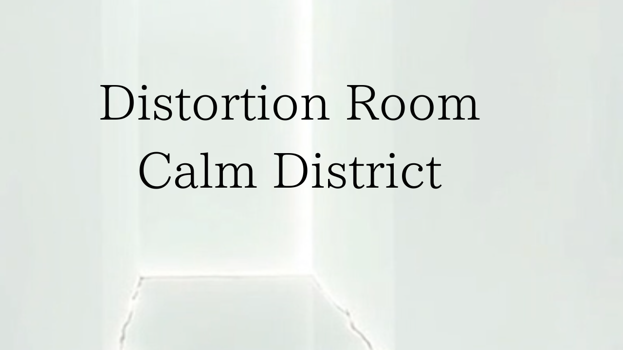 Distortion Room の3部作を一挙公開。内側の静電気、認知の砂嵐、現実の歪み──それぞれの核を鋭く結び、都市の静けさと情報過多の時代における思考の扱い方を提示する総まとめ。