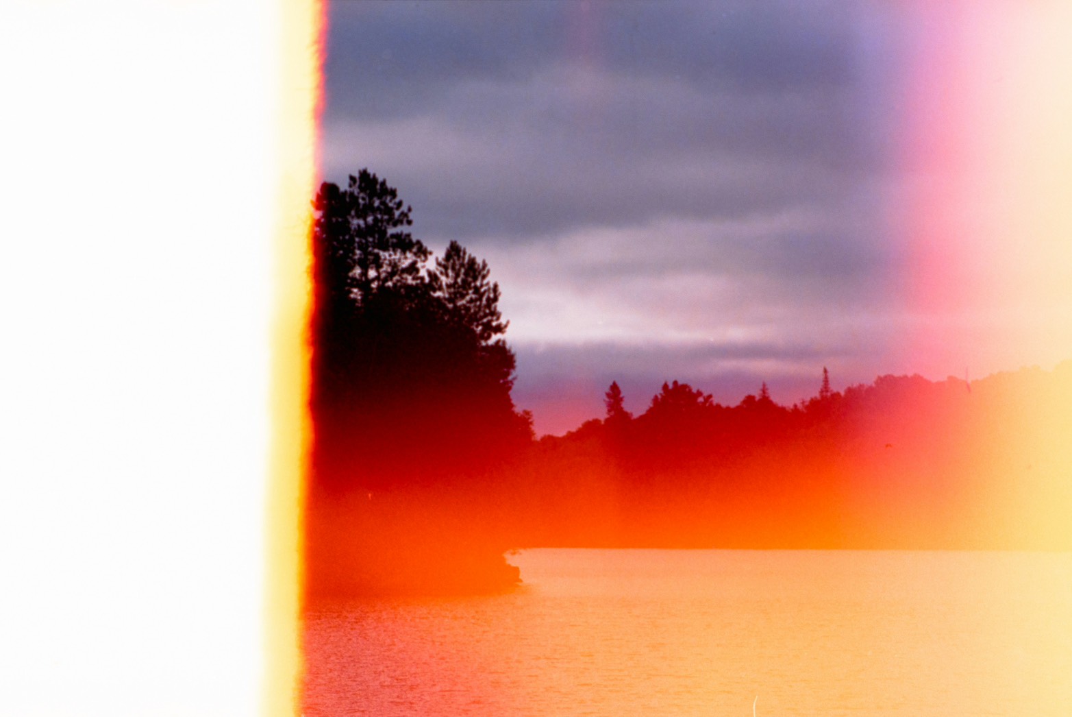 感情が過剰に反応してしまう——それは弱さではなく、現代社会のノイズを正確に感じ取る力。共感過多症、感情飽和圏、思考麻酔。わたしは感受性の病気で、治す気がない。