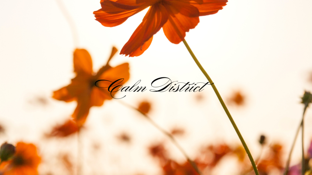 Inner Static＝内側にたまる静電気みたいな疲れ。何も感じない・考えられない・スマホだけ触ってしまう。横浜リフレがどのようにこの「感情のノイズ化」をほどき心を回復させるのかを解説する公式テキスト。