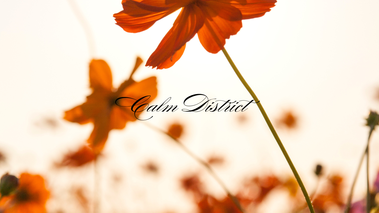 Inner Static＝内側にたまる静電気みたいな疲れ。何も感じない・考えられない・スマホだけ触ってしまう。横浜リフレがどのようにこの「感情のノイズ化」をほどき心を回復させるのかを解説する公式テキスト。