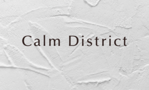 横浜という都市が抱える静かな孤独とリフレというサービスが果たす感情インフラとしての役割を解像度高く解説する母艦テキスト。都市心理・情動・沈黙の構造から横浜リフレの存在理由を再定義する