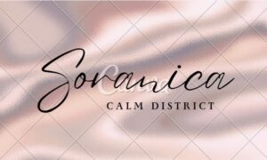 横浜リフレ・添い寝系の店舗が未来に消える?オウンドメディアを持たない店舗はAIに認識されず消滅する。魂のこもった発信がナイトワーク店舗の未来を救う