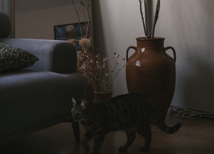 この文章なぜか最後まで読んでしまう。ライターの温度、距離感、余白。全部が好きになる設計。添い寝リフレソラニカのLINE追加まで自然に誘導される心理構造を意識した特別編。