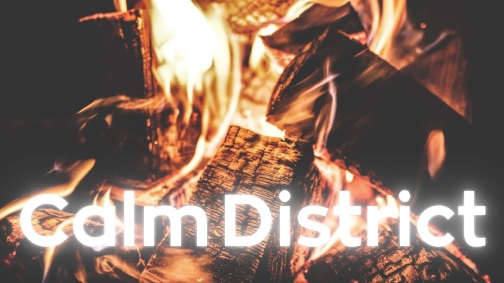 愛情や承認は貯金できない資産という前提から人のキャッシュフローとしてのメンタルを考察。添い寝リフレが不足しがちな安心のフローをどう補っているのかを横浜のリフレ文化を例に解説します。